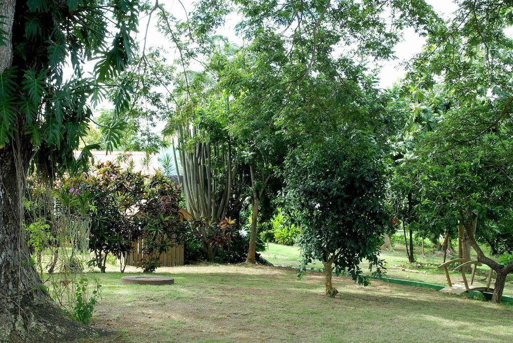 فندق Habitation Du Comte سانت-روز المظهر الخارجي الصورة